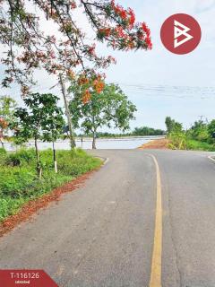 ขายที่ดิน เนื้อที่ 24 ไร่ 3 งาน 85 ตร.วา บางคล้า ฉะเชิงเทรา-202507241445141753343114504.jpg