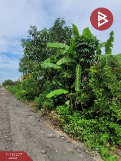 ขายที่ดิน เนื้อที่ 1 งาน 16 ตร.วา มีนบุรี กรุงเทพมหานคร-202507241454371753343677705.jpg