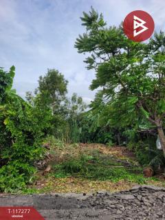 ขายที่ดิน เนื้อที่ 1 งาน 16 ตร.วา มีนบุรี กรุงเทพมหานคร-202507241454381753343678802.jpg