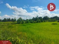 ขายที่ดิน เนื้อที่ 44 ไร่ 2 งาน 37 ตร.วา กงไกรลาศ สุโขทัย-202507241511181753344678724.jpg