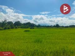 ขายที่ดิน เนื้อที่ 44 ไร่ 2 งาน 37 ตร.วา กงไกรลาศ สุโขทัย-202507241511191753344679844.jpg