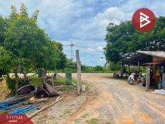 ขายบ้านเดี่ยวพร้อมที่ดิน เนื้อที่ 10 ไร่ 18 ตร.วา พนมทวน กาญจนบุรี-202507241538251753346305087.jpg