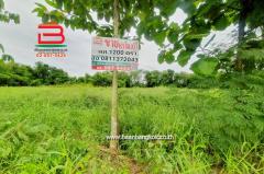 ที่ดินเปล่า ระแหง-ลาดหลุมแก้ว เนื้อที่ 3 ไร่ ติดบจก.ชาญนครวิศวกรรม, ตรงข้ามปั้ม ปตท. ม.12 ถนนกาญจนาภิเษก ตำบลระแหง อำเภอลาดหลุมแก้ว จังหวัดปทุมธานี-202507241645131753350313604.jpg