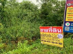 ขายที่ดิน 3 - 3 - 20 ไร่ ถนนปราจีนนุสรณ์   ท่างาม  เมืองปราจีนบุรี   ZW595