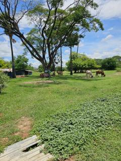 ขายที่ดินทำเลดี แปลงสวย ตัวเมืองขอนแก่น เนื้อที่ 2 ไร่ 1 งาน 80 ตรว-202507241815301753355730764.jpg