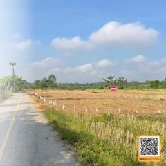 ประกาศขายที่นา - ตำบลแม่โป่ง อำเภอดอยสะเก็ด เจ้าของขายเอง-202507241908401753358920747.jpg