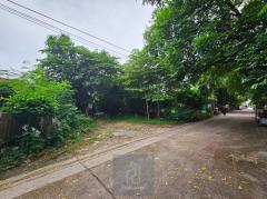 ขาย ที่ดินเปล่า 145 ตร.วา ซ.ปุณณวิถี 43 สุขุมวิท 101 ถนนกว้าง แปลงสี่เหลี่ยม