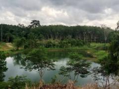 ขาย ที่ดิน สวนทุเรียน 16 ไร่ 1 งาน 40 ตร.วา ให้ผลผลิตแล้ว อ.บ่อไร่ จ.ตราด-202507242207491753369669610.jpg