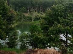 ขาย ที่ดิน สวนทุเรียน 16 ไร่ 1 งาน 40 ตร.วา ให้ผลผลิตแล้ว อ.บ่อไร่ จ.ตราด-202507242207501753369670677.jpg