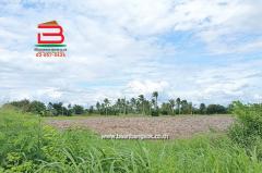 ที่ดินเปล่า ตำบลท่าบุญมี (สี่แยกเกาะโพธิ์) เนื้อที่ 71-0-22 ไร่ (ใกล้อ่างเก็บน้ำคลองหลวงรัชชโลทร) ตำบลท่าบุญมี อำเภอเกาะจันทร์ จังหวัดชลบุรี-202507250958331753412313791.jpg