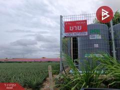 ขายที่ดิน เนื้อที่ 3 ไร่ ปลวกแดง ระยอง-202507251006211753412781645.jpg