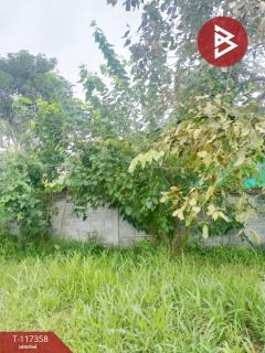 ขายที่ดิน เนื้อที่ 98 ตร.วา นาโพธิ์ บุรีรัมย์-202507251118091753417089534.jpg