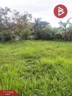 ขายที่ดิน เนื้อที่ 98 ตร.วา นาโพธิ์ บุรีรัมย์-202507251118101753417090102.jpg