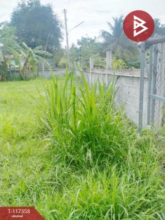 ขายที่ดิน เนื้อที่ 98 ตร.วา นาโพธิ์ บุรีรัมย์-202507251118111753417091851.jpg