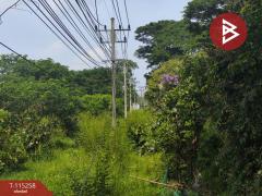 ขายที่ดินแปลงใหญ่ ติดถนนไฮเวย์ กรุงเทพ-เชียงใหม่ กาดทุ่งเกวียน-202507251204391753419879333.jpg