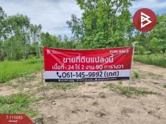 ขายที่ดิน เนื้อที่ 24 ไร่ 2 งาน 90 ตร.วา ลาดยาว นครสวรรค์