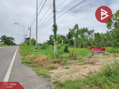 ขายที่ดิน เนื้อที่ 24 ไร่ 2 งาน 90 ตร.วา ลาดยาว นครสวรรค์-202507251208541753420134665.jpg