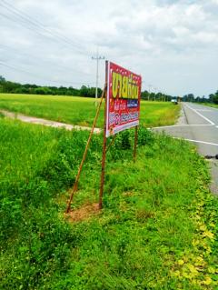 ขายที่ดิน ติดแม่น้ำท่าจีน อ.เดิมบางนางบวช เป็นที่สวน-202507251404481753427088527.jpg