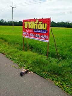 ขายที่ดิน ติดแม่น้ำท่าจีน อ.เดิมบางนางบวช เป็นที่สวน-202507251404501753427090496.jpg