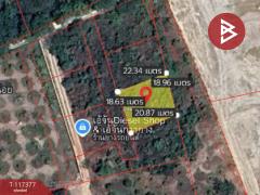 ขายที่ดินจัดสรร เนื้อที่ 1 งาน ท่าช้าง จันทบุรี-202507251628061753435686179.jpg