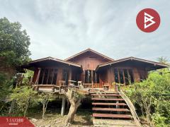 ขายบ้านเดี่ยว 2 ไร่ 2 งาน 90 ตร.วา อัมพวา สมุทรสงคราม-202507251716061753438566319.jpg
