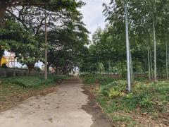 ขายที่ดินผังสีม่วง ถนนพหลโยธิน นวนคร พื้นที่ 110-3-35 ไร่ ต.คลองหนึ่ง อ.คลองหลวง จ.ปทุมธานี-202507252115241753452924414.jpeg