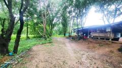 ขายที่ดิน 36-2-36 ไร่ แม่ระมาด ตาก ใกล้โรงพยาบาลแม่ระมาด เดินทางสะดวก