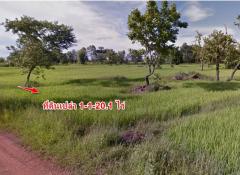 ขาย ที่ดินเปล่า 1-1-20.1 ไร่  เพียง 10 กิโลเมตร จากใจกลางเมือง ท่าอากาศยานสกลนคร เพียง 15 นาที ฮางโฮง สกลนคร