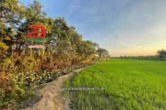 ที่ดินเปล่า ใกล้วัดเต็มรักสามัคคี เนื้อที่ 21-1-24 ไร่ ถนนหนองเพรางาย ตำบลบางคูรัด อำเภอบางบัวทอง จังหวัดนนทบุรี-202507260911141753495874003.jpg
