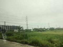 ขายที่ดิน 123 ไร่ แปลงสวยติดถนนใหญ่ ถนนสุวินทวงศ์ อ.บางน้ำเปรี้ยว จ.ฉะเชิงเทรา -202507261111221753503082240.jpg