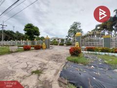 ขายบ้านเดี่ยวพร้อมที่ดิน เนื้อที่ 4 ไร่ 2 งาน 8 ตร.วา ศรีบุญเรือง หนองบัวลำภู-202507261416091753514169658.jpg