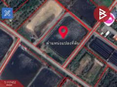 ขายที่ดิน เนื้อที่ 5 ไร่ 30 ตร.วา หนองบัว จันทบุรี-202507261434471753515287427.jpg