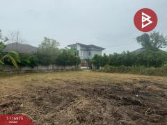 ขายที่ดิน เนื้อที่ 1 งาน 0.1 ตร.วา สารภี เชียงใหม่-202507261525311753518331378.jpg