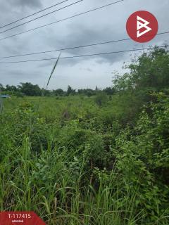 ขายที่ดิน เนื้อที่ 1 ไร่ หินกอง ราชบุรี-202507261536441753519004950.jpg