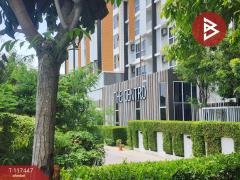 ขายคอนโดมิเนียม โครงการเดอะ เซนโทร คอนโด บางแสน (The Centro Condo Bangsaen) ชลบุรี-202507261650481753523448190.jpg