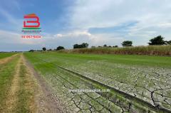  ที่ดินเปล่า เนื้อที่ 5 ไร่ คู้คลองสิบ แยก12 ถนนคู้คลองสิบ แขวงคลองสิบ เขตหนองจอก จ.กรุงเทพมหานคร-202507261652131753523533543.jpg