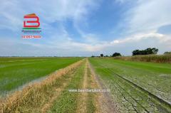  ที่ดินเปล่า เนื้อที่ 5 ไร่ คู้คลองสิบ แยก12 ถนนคู้คลองสิบ แขวงคลองสิบ เขตหนองจอก จ.กรุงเทพมหานคร-202507261652141753523534052.jpg