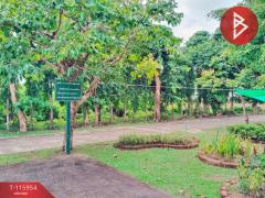 ขายที่ดิน เนื้อที่ 2 ไร่ 1 งาน 26.8 ตร.วา ขลุง จันทบุรี-202507261714241753524864038.jpg