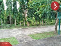 ขายที่ดิน เนื้อที่ 2 ไร่ 1 งาน 26.8 ตร.วา ขลุง จันทบุรี-202507261714241753524864722.jpg