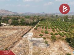 ขายที่ดิน เนื้อที่ 29 ไร่ 34.6 ตร.วา สอยดาว จันทบุรี-202507261734381753526078869.jpg