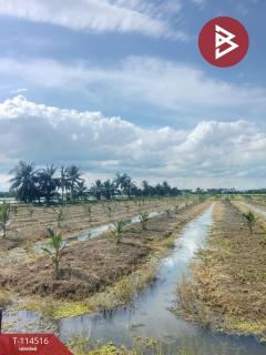 ขายที่ดิน เนื้อที่ 17 ไร่ 40 ตร.วา อัมพวา สมุทรสงคราม-202507261736221753526182117.jpg