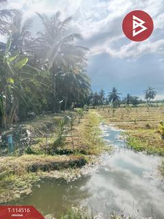 ขายที่ดิน เนื้อที่ 17 ไร่ 40 ตร.วา อัมพวา สมุทรสงคราม-202507261736221753526182653.jpg