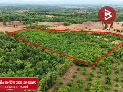 ขายที่ดิน เนื้อที่ 30 ไร่ 1 งาน 40 ตร.วา ห้วยม้า แพร่-202507261738041753526284963.jpg