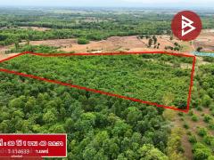 ขายที่ดิน เนื้อที่ 30 ไร่ 1 งาน 40 ตร.วา ห้วยม้า แพร่-202507261738051753526285519.jpg