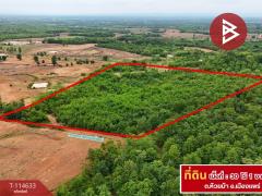 ขายที่ดิน เนื้อที่ 30 ไร่ 1 งาน 40 ตร.วา ห้วยม้า แพร่-202507261738061753526286127.jpg