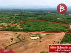 ขายที่ดิน เนื้อที่ 30 ไร่ 1 งาน 40 ตร.วา ห้วยม้า แพร่-202507261738081753526288997.jpg