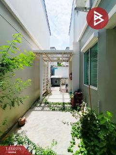 บ้านเดี่ยว เดอะวิลเลจ บางนา กม.8 (The Village Bangna KM.8) บางพลี สมุทรปราการ-202507261740131753526413976.jpg