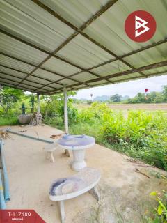 ขายบ้านเดี่ยว เนื้อที่ 2 งาน ต.หินกอง ราชบุรี ทำเลดี แหล่งชุมชน-202507271332281753597948689.jpg