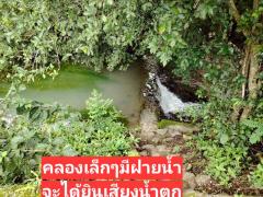 ขายบ้าน พร้อมที่ดิน #บรรยากาศดี  #ร่มรื่น มีเขาล้อมรอบ #ด้านหน้ามีคลอง -202507280952311753671151176.jpg