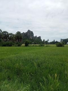 ขายที่ดินเปล่า ใกล้ชุมชนตลาด  เขาย้อย เพชรบุรี